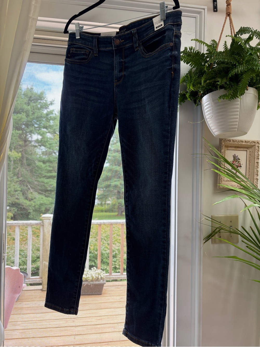 Judy Blue Jeans NWT Size 13
